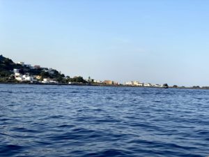 IMG_4461